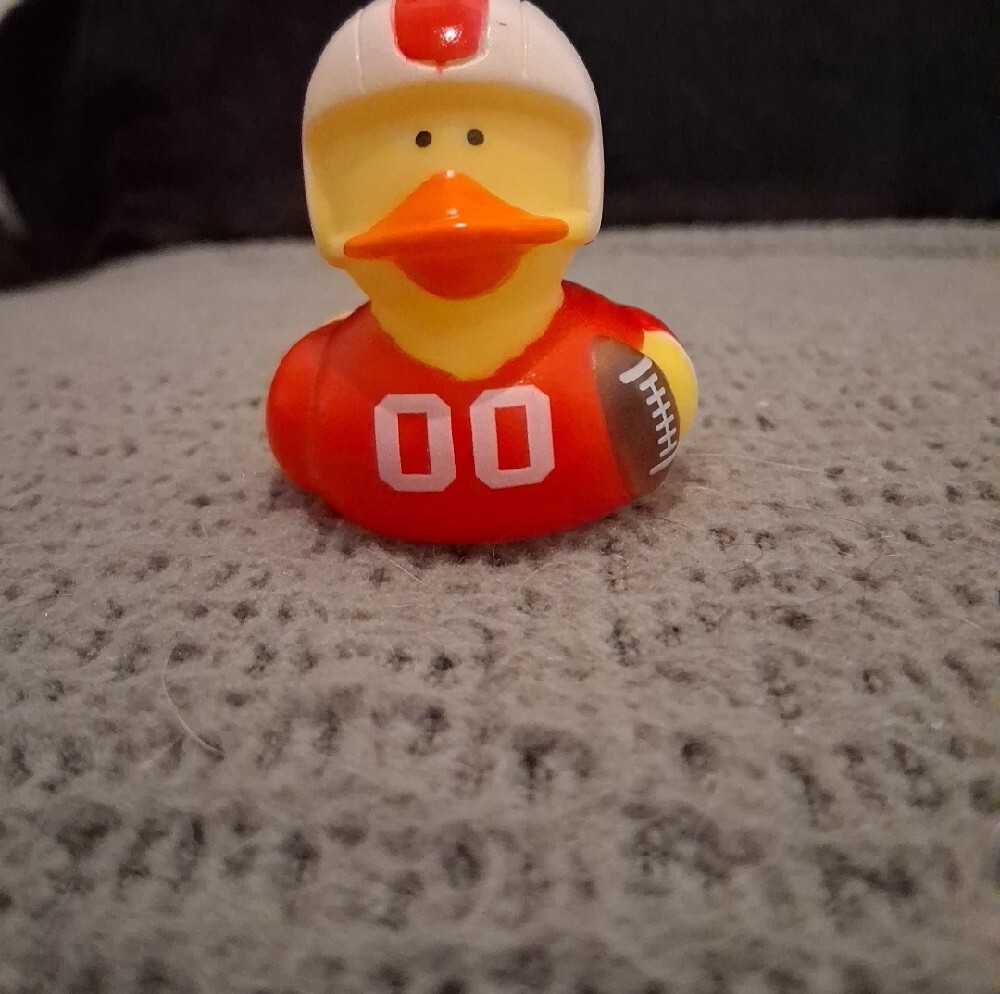Duck Football Player - Picture 2 of 5